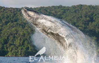El Almejal