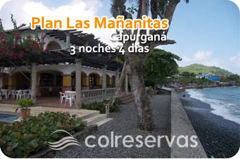 Plan Navidad Hotel Las Ma�anitas