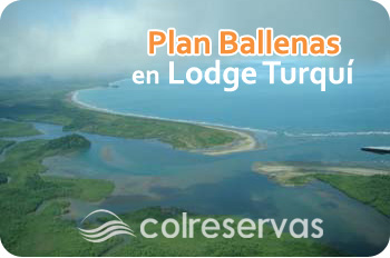 Lodge Turqui en Nuqu�