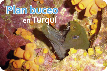 Lodge Turquí
