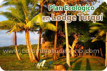 Lodge Turquí
