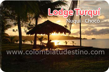 Lodge Turquí