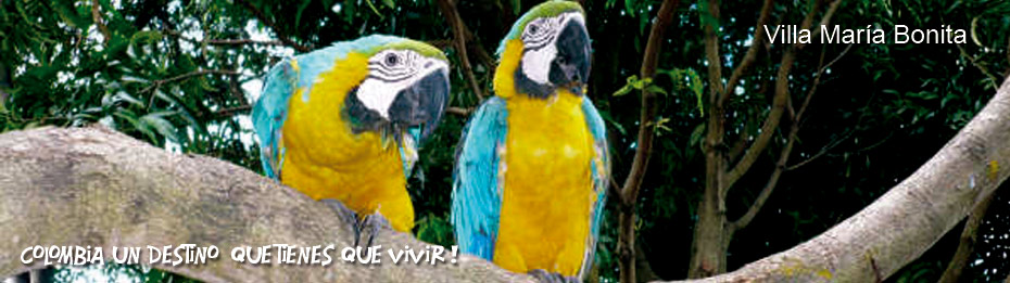 Alquiler de fincas en Neiva