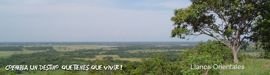 llanura Colombiana