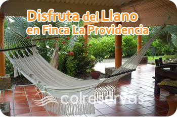 Finca La Providencia