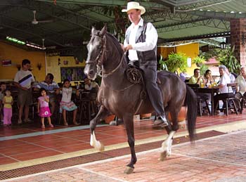 Hotel Campestre La Potra