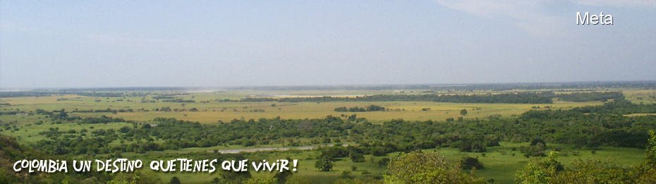 Llanos Orientales de Colombia