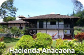 Hacienda Marsella