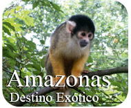 Plan Amazonas