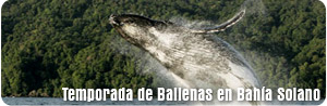 Bah&iacute;a Solano