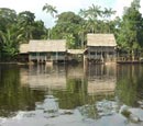 Amazonas