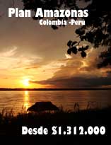 Plan Amazonas Colombia Per&uacute;