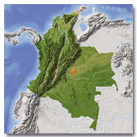Departamento del Meta