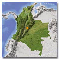 Bogota D.C.