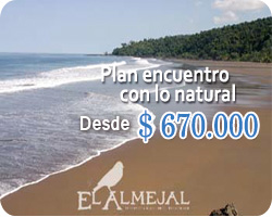 Plan Luna de Miel