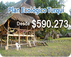 Eventos y Convenciones
