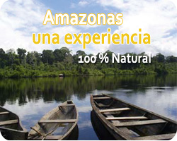Amazonas