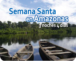 Amazonas