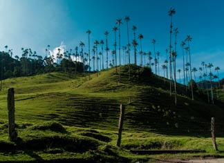 Armenia, capital del Quindío