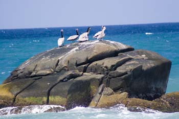 Parque Nacional Tayrona 6