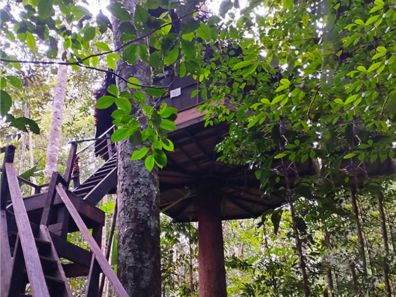 Un nuevo año en el Amazonas 3
