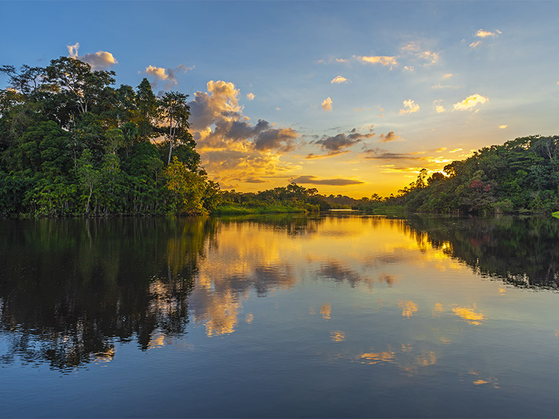 Un nuevo año en el Amazonas 0