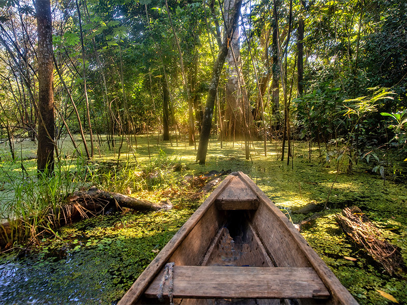 Aventura en el Amazonas