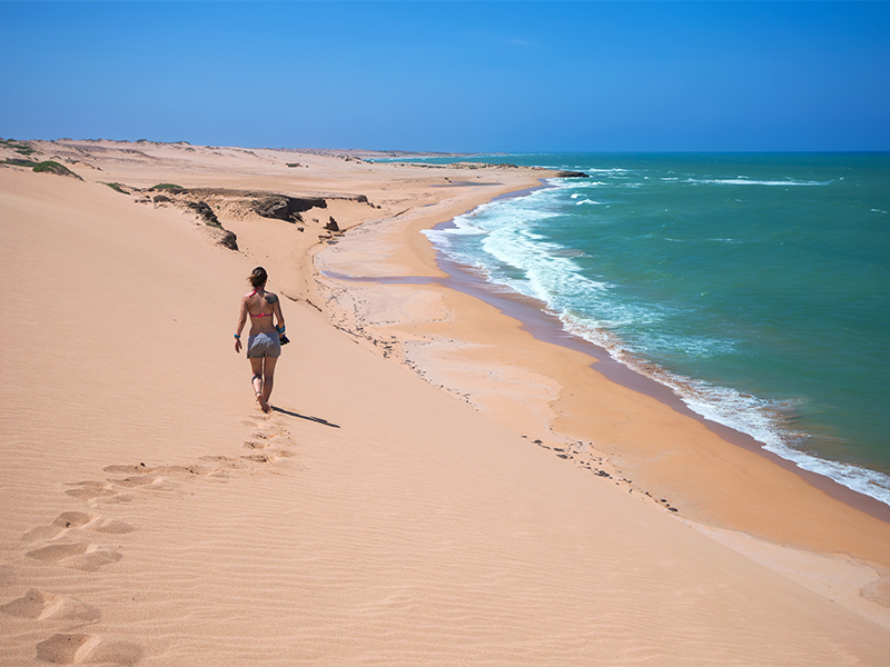 Guajira Exótica 1