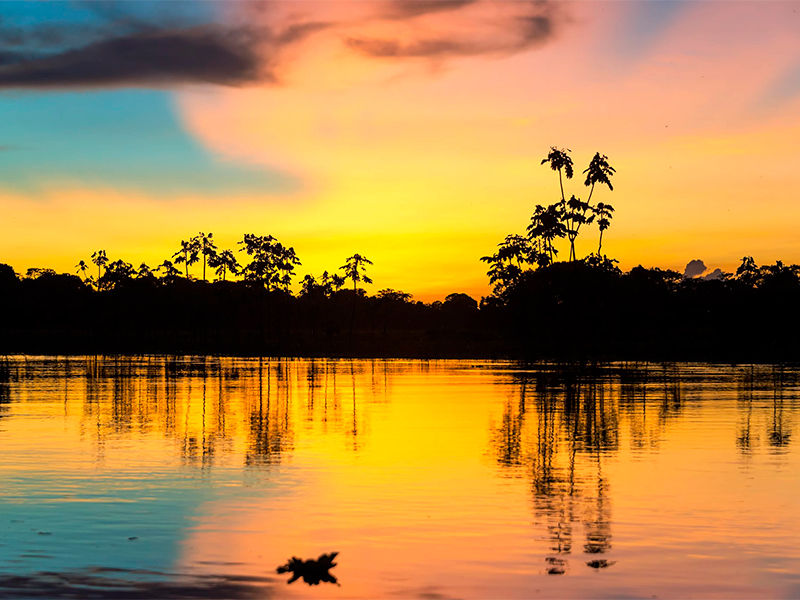 Semana de Reyes en el Amazonas