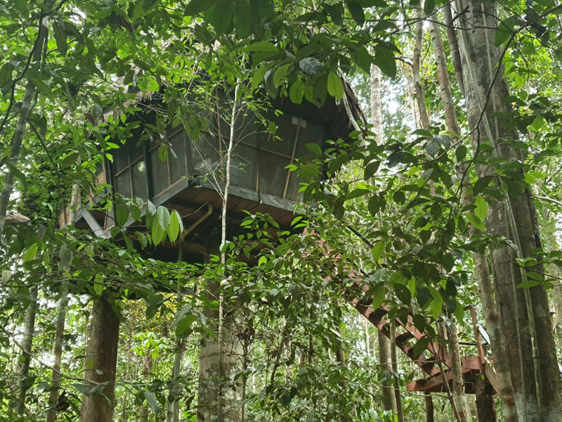 Semana de Reyes en el Amazonas 0