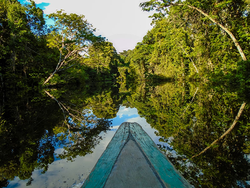 Conociendo el Amazonas 2