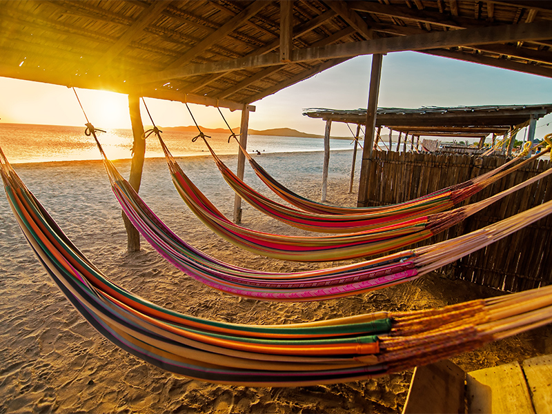 Guajira Exótica 0