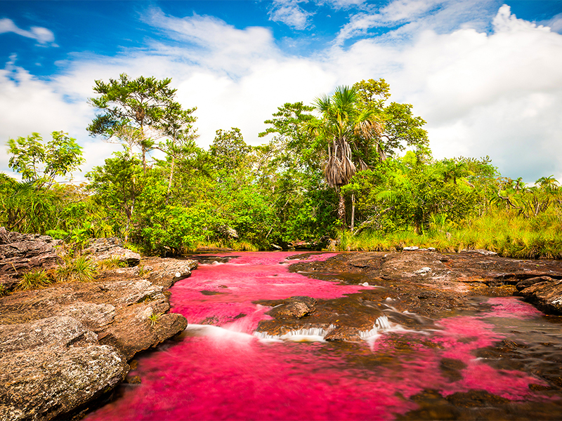 Caño Cristales desde Medellín 1