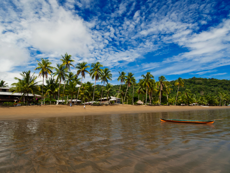 Naturaleza y Aventura - Playa de Oro 6