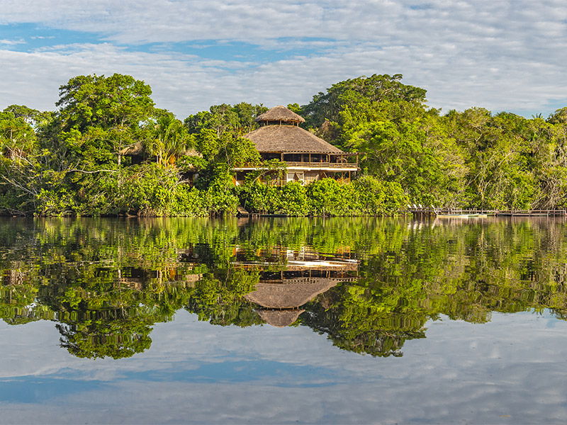 Un nuevo año en el Amazonas 7