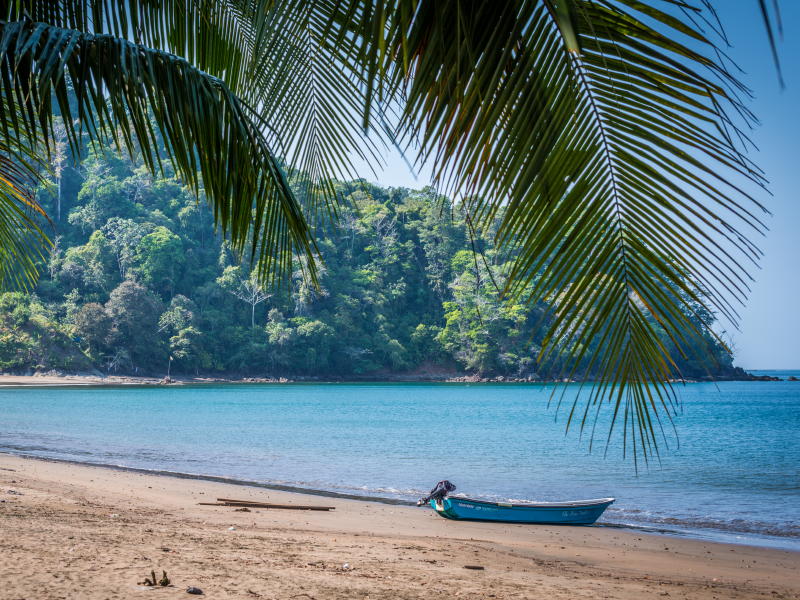 Naturaleza y Aventura - Playa de Oro 1