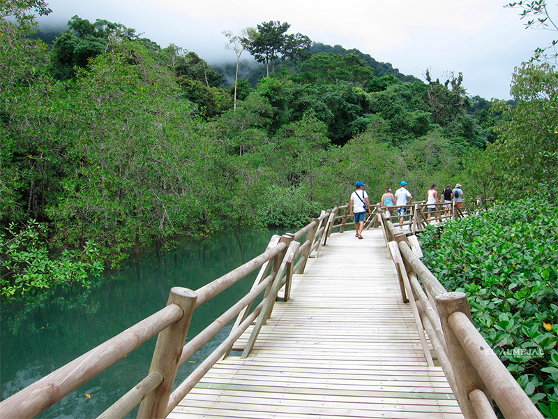 Bahía Solano Pacífico Mágico 3