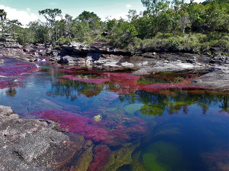 Caño Cristales desde Bogotá 3