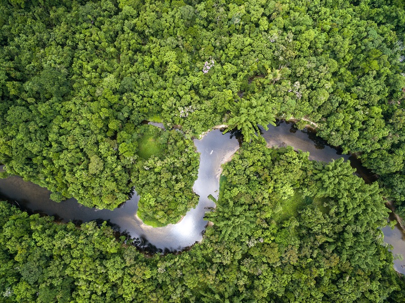 Semana de Reyes en el Amazonas 4