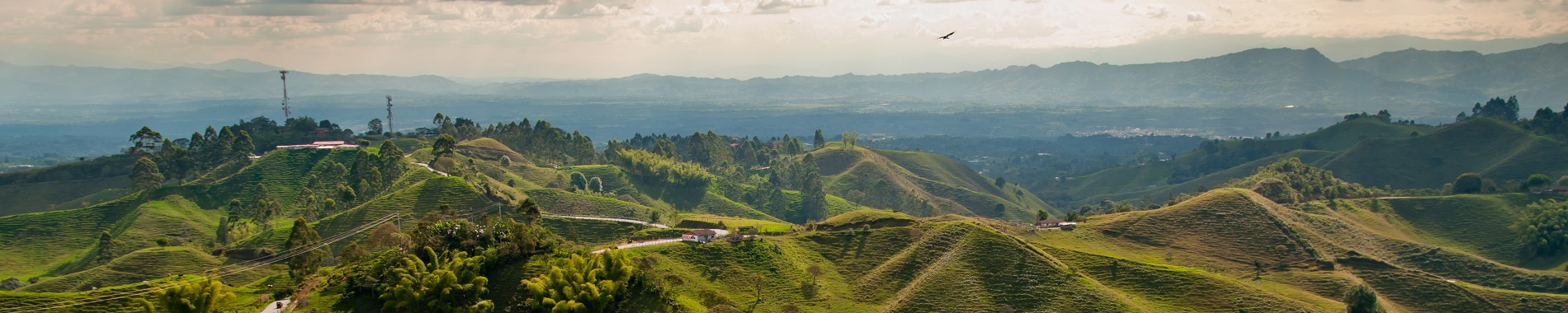 Eje Cafetero
