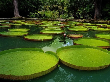 Turismo en el Amazonas