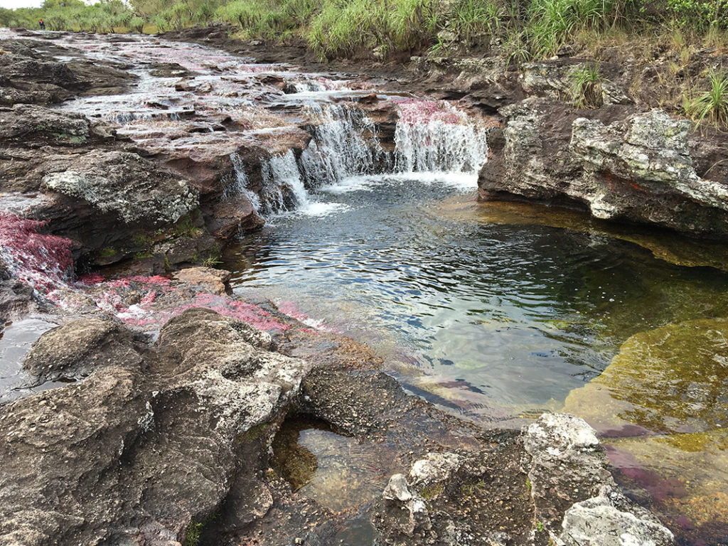 Caño Cristalito