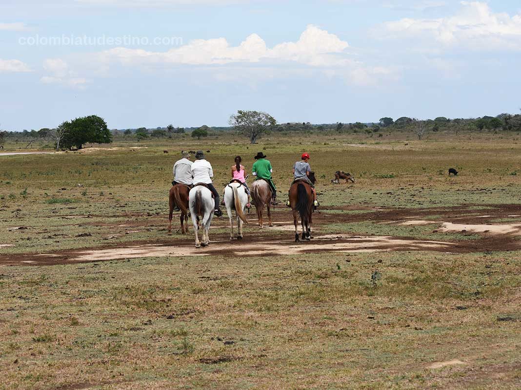 Llanos Orientales