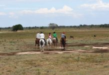 Llanos Orientales