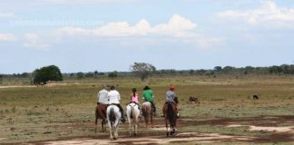 Llanos Orientales