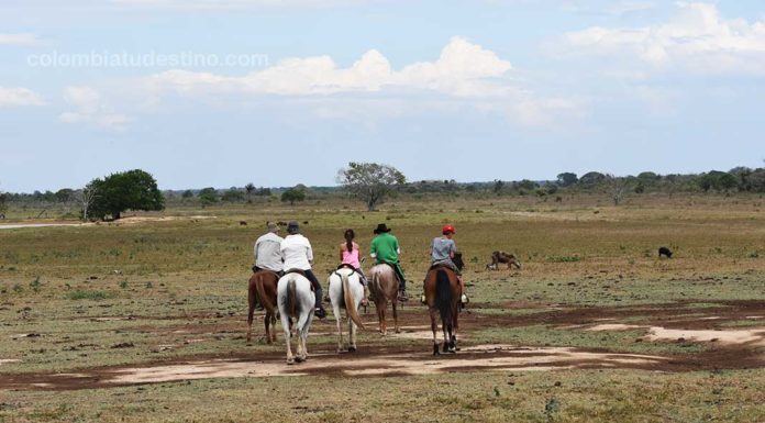 Llanos Orientales